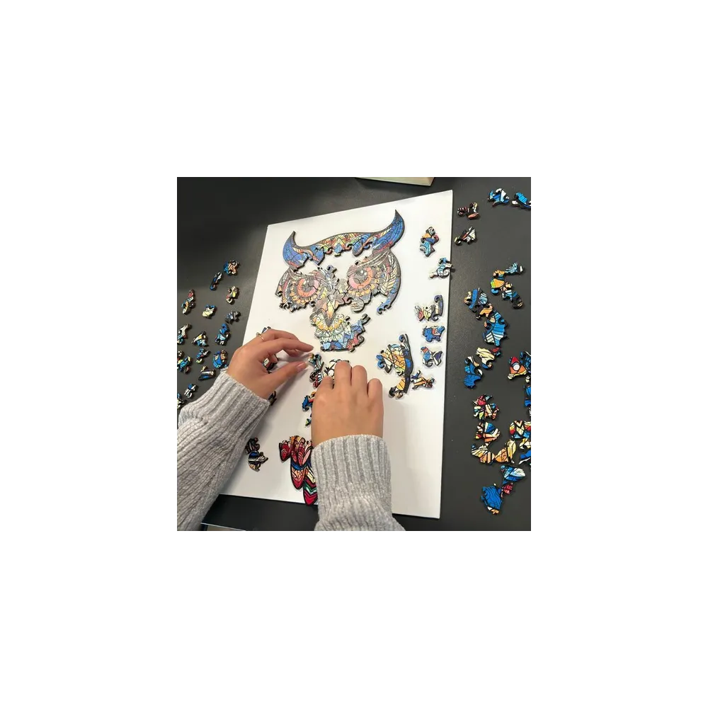 ułożone puzzle Kruzzel 24551 prezentujące sylwetkę sowy