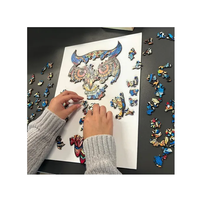 ułożone puzzle Kruzzel 24551 prezentujące sylwetkę sowy