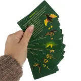 jajko rozłupane w połowie z widocznym fragmentem dinozaura