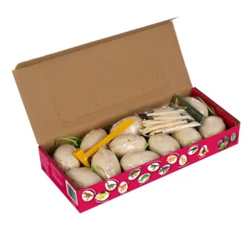 wszystkie elementy zestawu kruzzel 24982 na białym tle