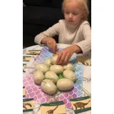 etap odkopywania modeli dinozaurów przez dziecko