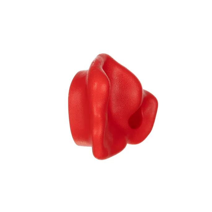 widok na zamontowane uchwyty do wspinaczki na ściance