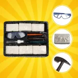 Zbliżenie na model szkieletu dinozaura wyrzeźbiony w gipsie