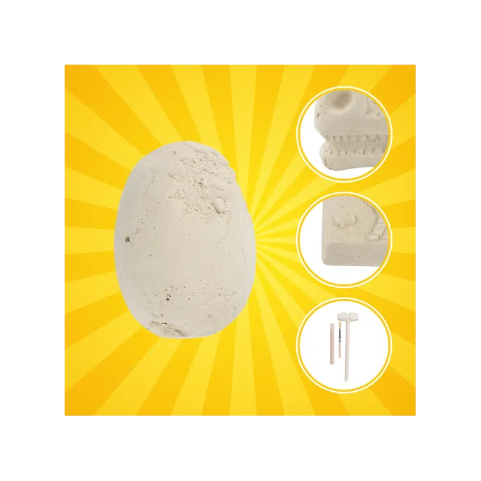 proces wydobywania kości z gipsowego jaja dinozaura