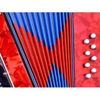 detal klawiszy w akordeonie muzycznym dla dzieci