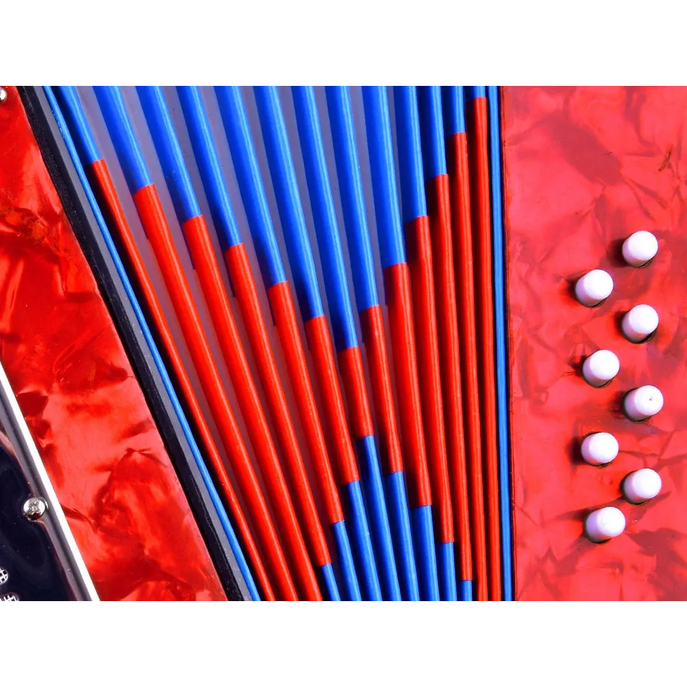 detal klawiszy w akordeonie muzycznym dla dzieci