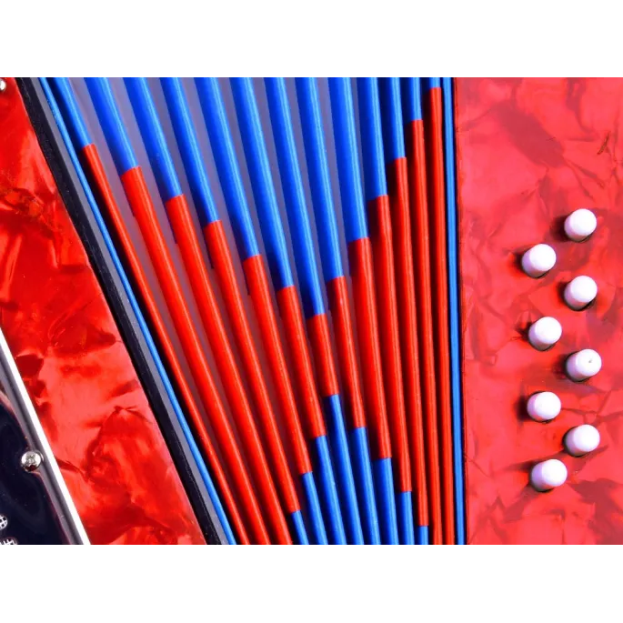 detal klawiszy w akordeonie muzycznym dla dzieci