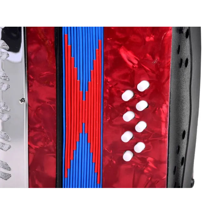 widok całego dużego akordeonu dla dzieci z przodu