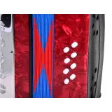 widok całego dużego akordeonu dla dzieci z przodu