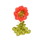 Szczegółowy widok struktury klocka w kształcie gwiazdki