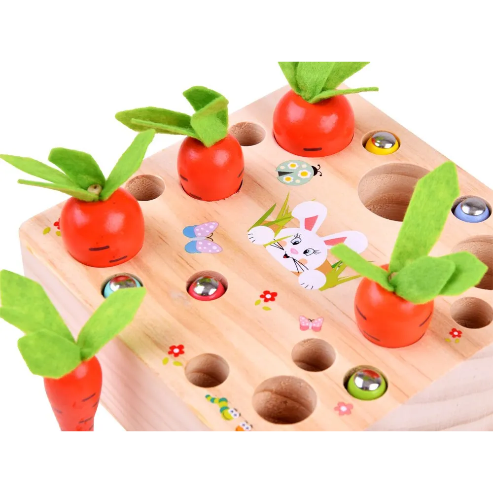 Marchewki o różnych rozmiarach ułożone na planszy