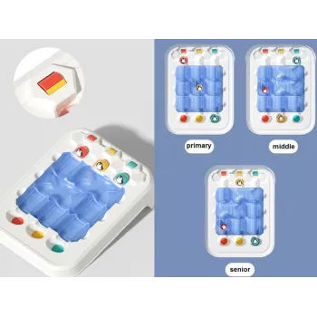 pełen zestaw gry logicznej rozłożony na białym tle