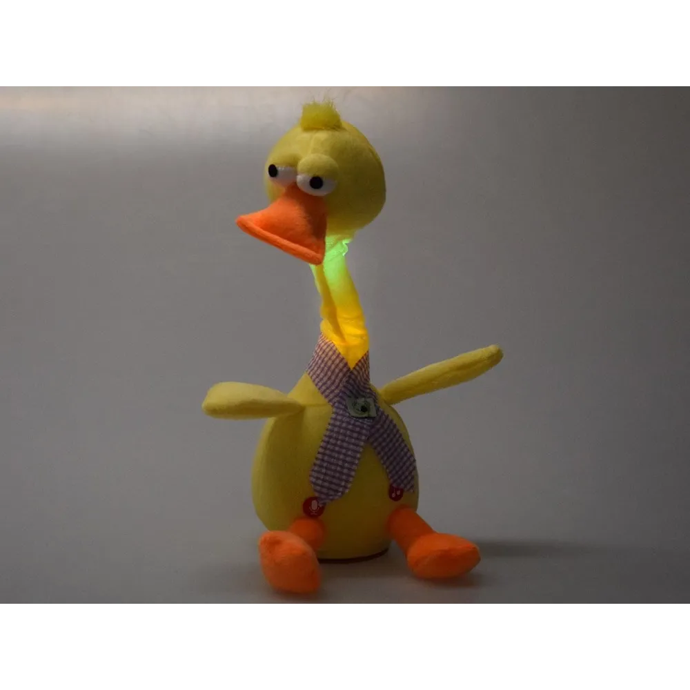 Kaczka i akcesoria gry ustawione do zabawy na podłodze