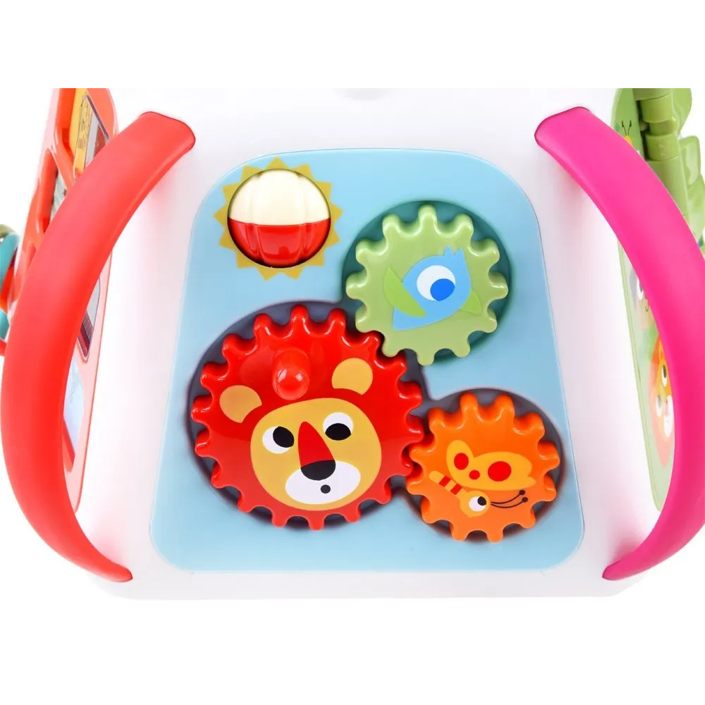 kostka hola prezentująca wszystkie aktywności w jednym ujęciu