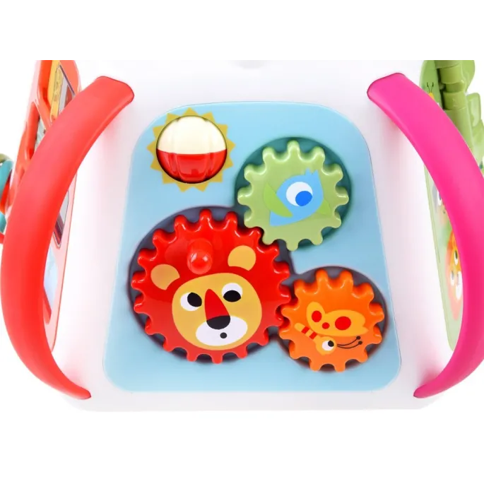 kostka hola prezentująca wszystkie aktywności w jednym ujęciu