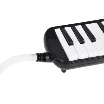 Zbliżenie na oznaczone klawisze melodyki