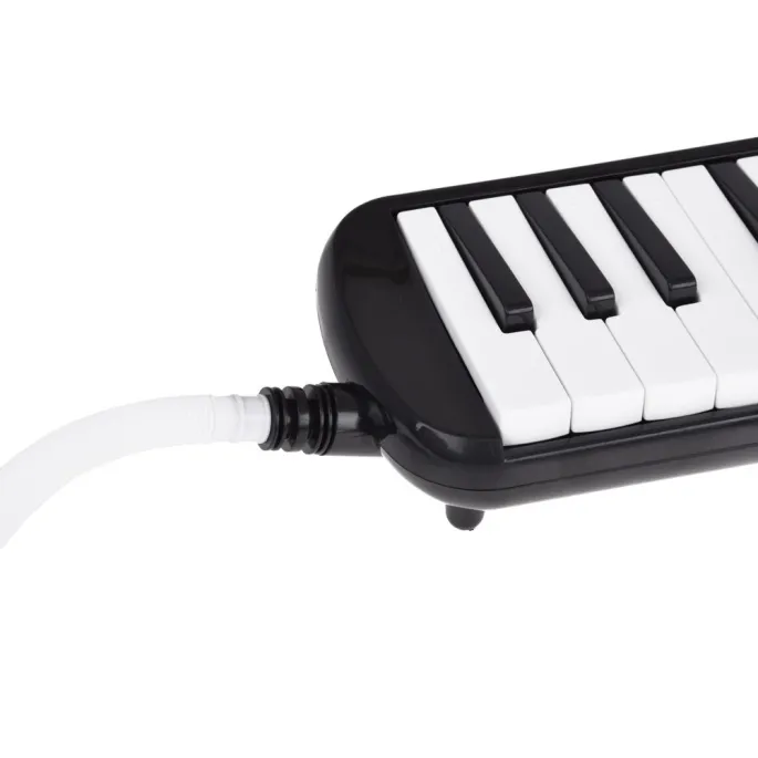 Zbliżenie na oznaczone klawisze melodyki