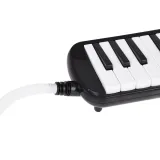 Zbliżenie na oznaczone klawisze melodyki