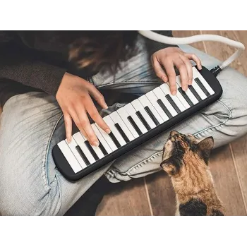 Harmonijka klawiszowa podczas nauki gry w domu