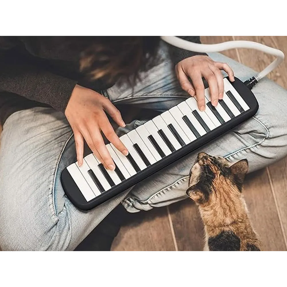 Harmonijka klawiszowa podczas nauki gry w domu