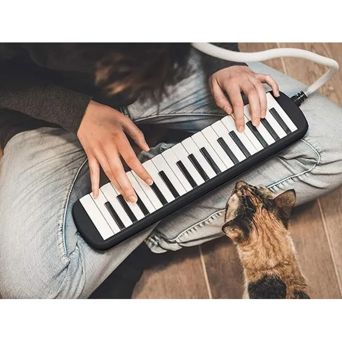 Harmonijka klawiszowa podczas nauki gry w domu