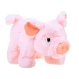 widok świnki w trakcie wydawania dźwięków chrumkania