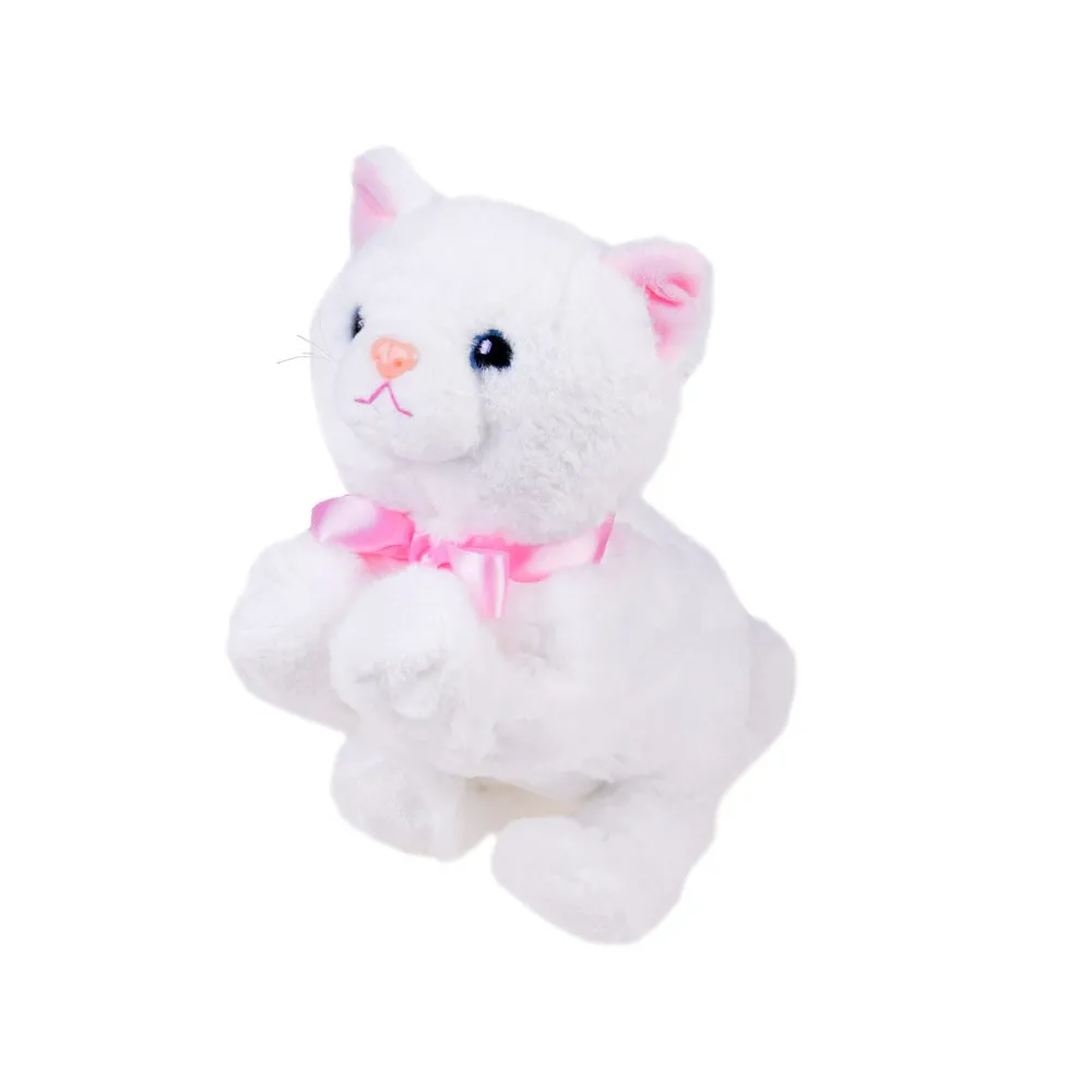 zbliżenie na niebieskie oczy i różowy nosek kotka psotka