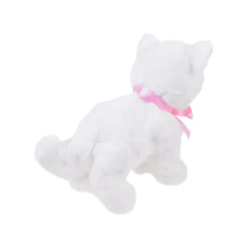 kot psotek na białym tle w pełnej okazałości