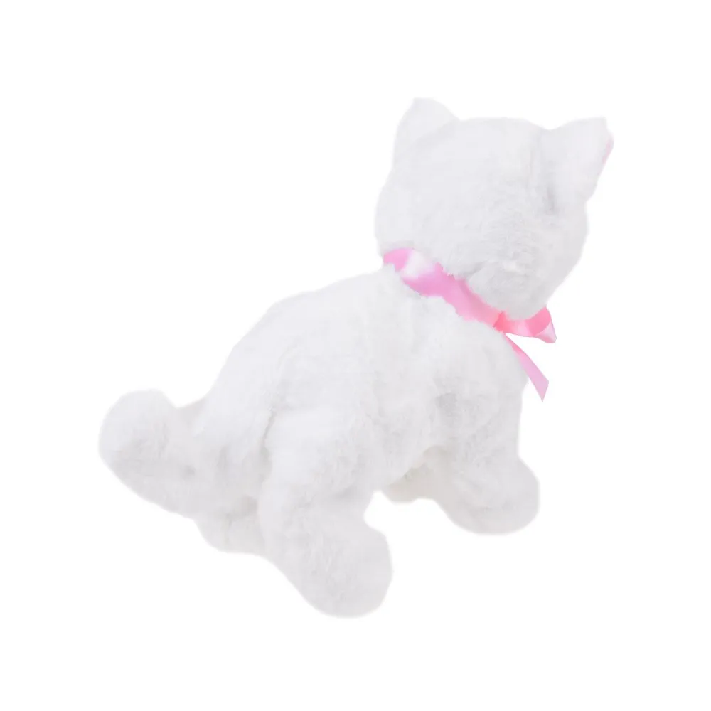 kot psotek na białym tle w pełnej okazałości