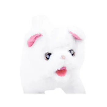 detal główki kotka poruszającego uszami i pyszczkiem