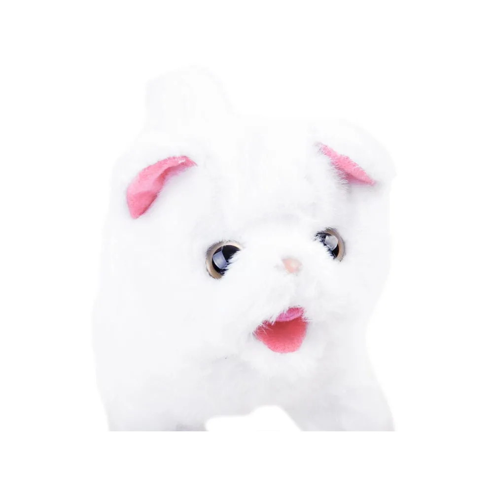 detal główki kotka poruszającego uszami i pyszczkiem