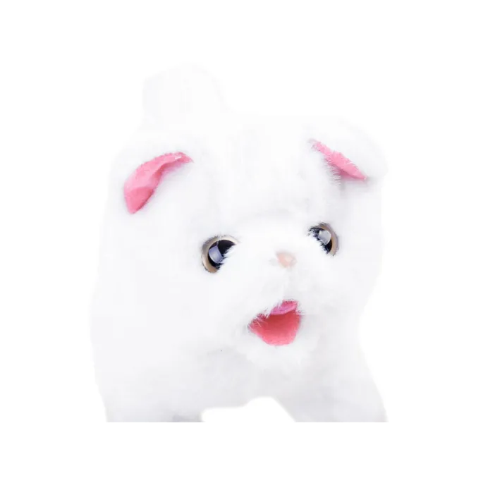 detal główki kotka poruszającego uszami i pyszczkiem