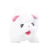 detal główki kotka poruszającego uszami i pyszczkiem