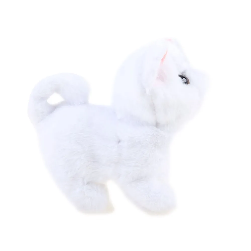 kot psotek w pozycji chodzącej, widoczny ruch ogonka