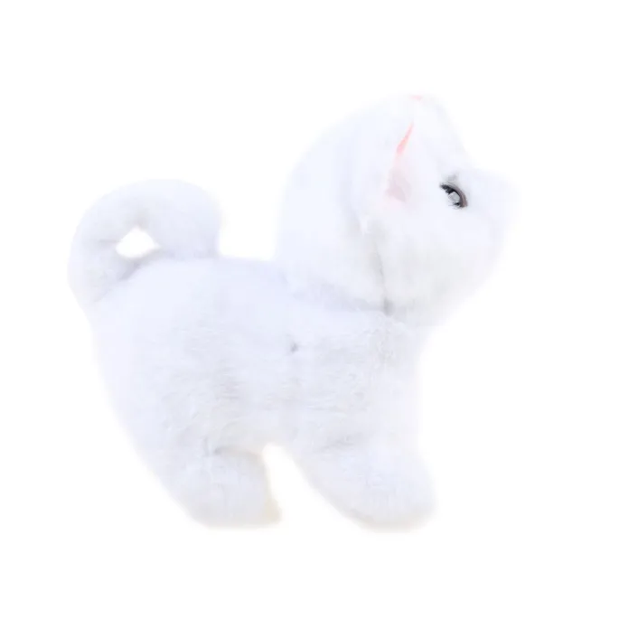 kot psotek w pozycji chodzącej, widoczny ruch ogonka