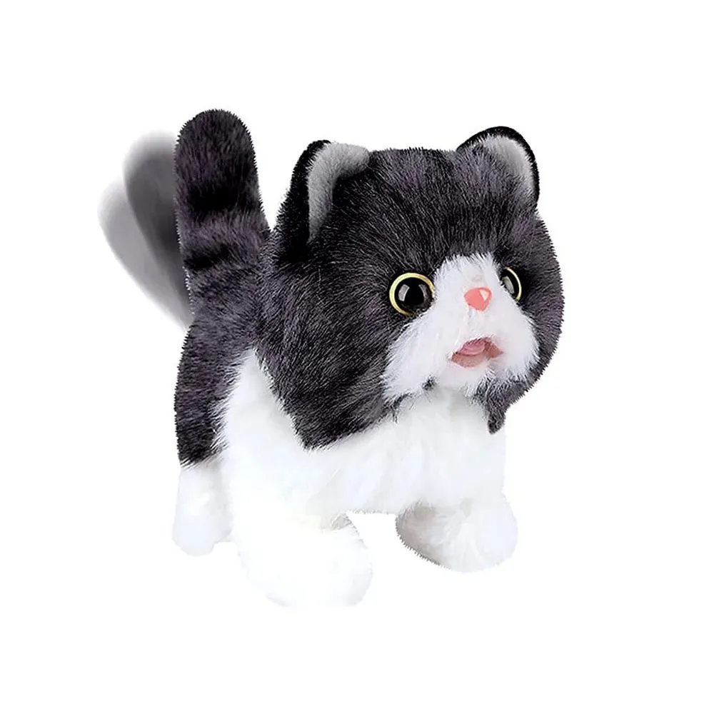 zbliżenie na pyszczek interaktywnego kotka psotka