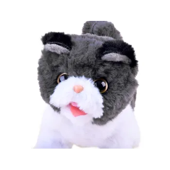 widok kotka psotka podczas poruszania ogonkiem