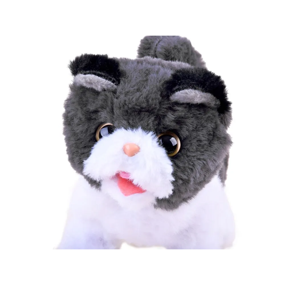 widok kotka psotka podczas poruszania ogonkiem