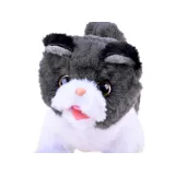 widok kotka psotka podczas poruszania ogonkiem