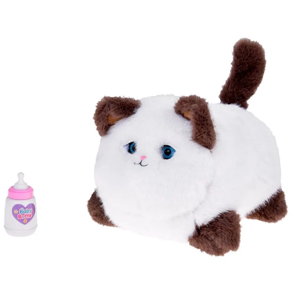 zbliżenie na pyszczek kotka Puszka z realistycznymi oczkami