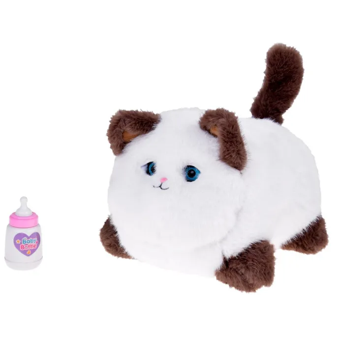 zbliżenie na pyszczek kotka Puszka z realistycznymi oczkami