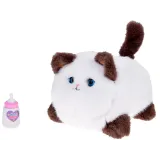 zbliżenie na pyszczek kotka Puszka z realistycznymi oczkami