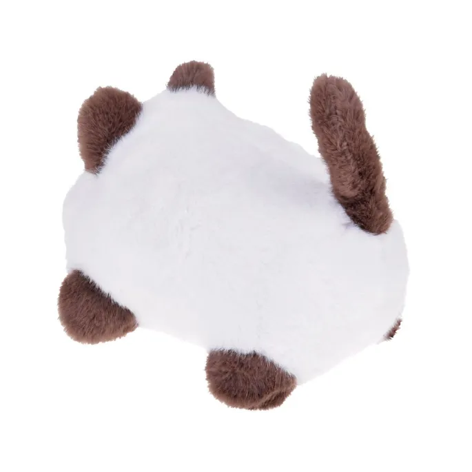 butelka do karmienia obok interaktywnego kotka