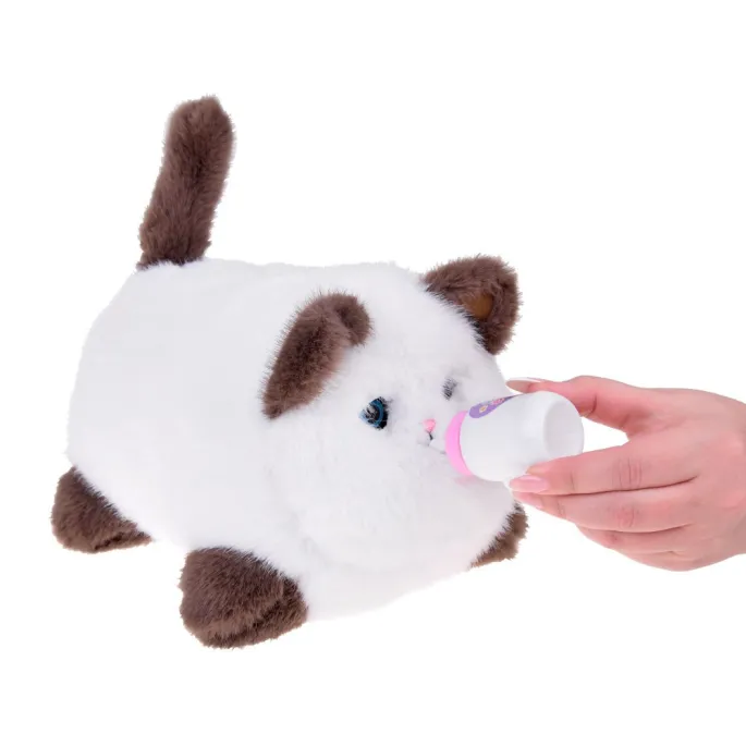 biały kotek Puszek z brązowymi łapkami i ogonem na podłodze