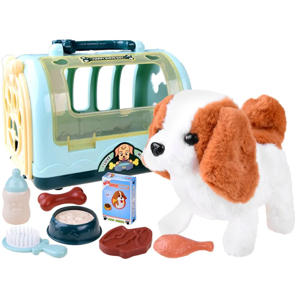 zestaw z pieskiem beagle i akcesoriami ułożonymi obok siebie