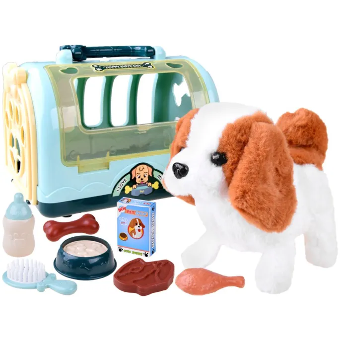 zestaw z pieskiem beagle i akcesoriami ułożonymi obok siebie