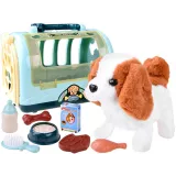 zestaw z pieskiem beagle i akcesoriami ułożonymi obok siebie