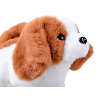 akcesoria: szczotka, kostka, udko kurczaka, stek prezentowane osobno