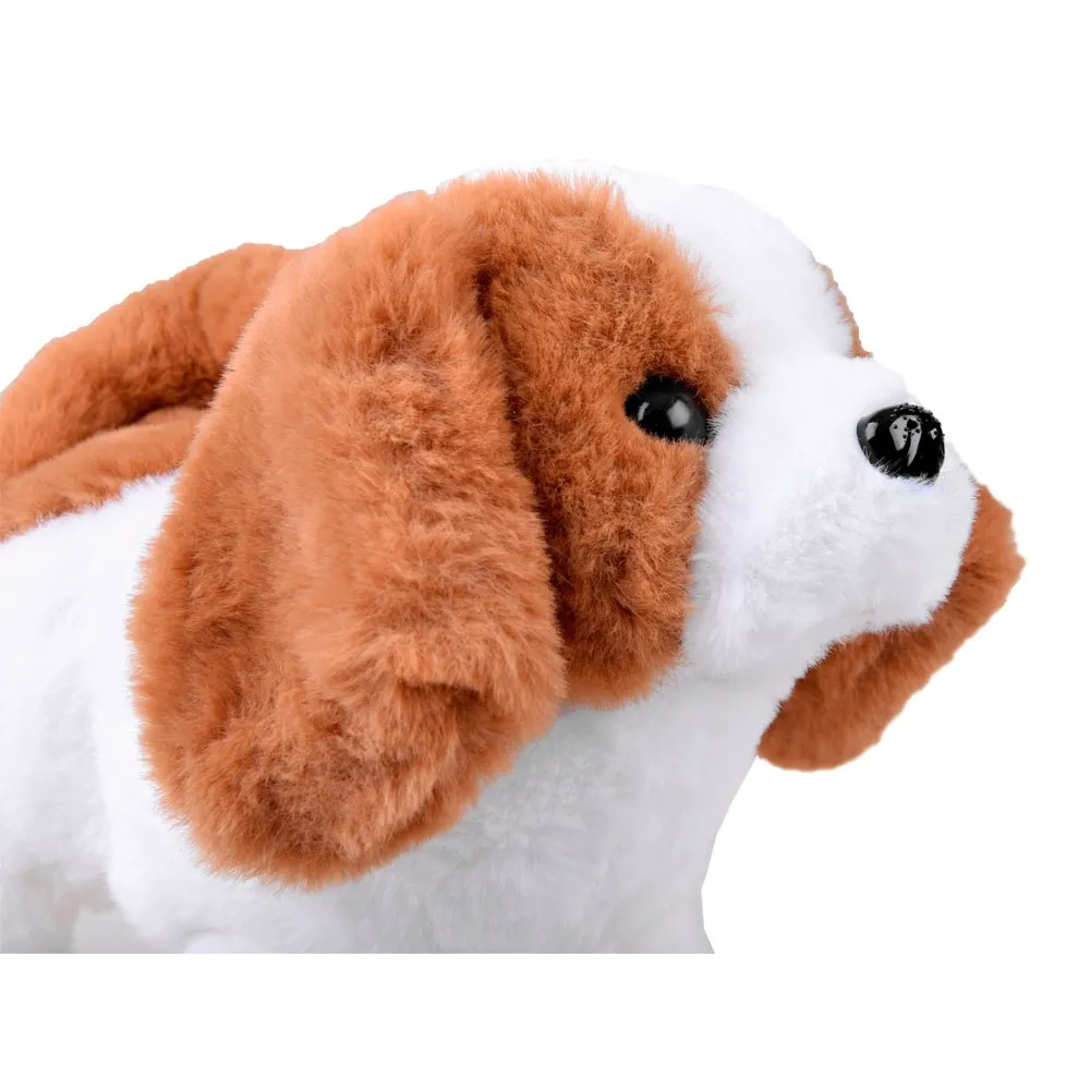 akcesoria: szczotka, kostka, udko kurczaka, stek prezentowane osobno