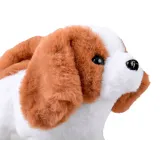 akcesoria: szczotka, kostka, udko kurczaka, stek prezentowane osobno